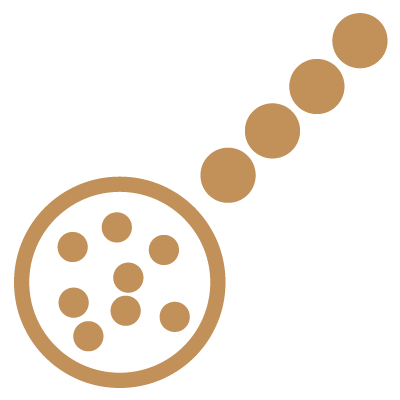 Goal Icon